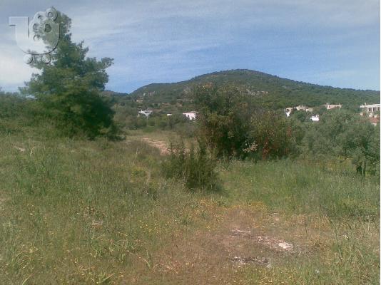 ΟΙΚΟΠΕΔΟ-ΚΤΗΜΑ